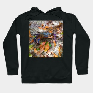 Colorful Crab 2 Hoodie